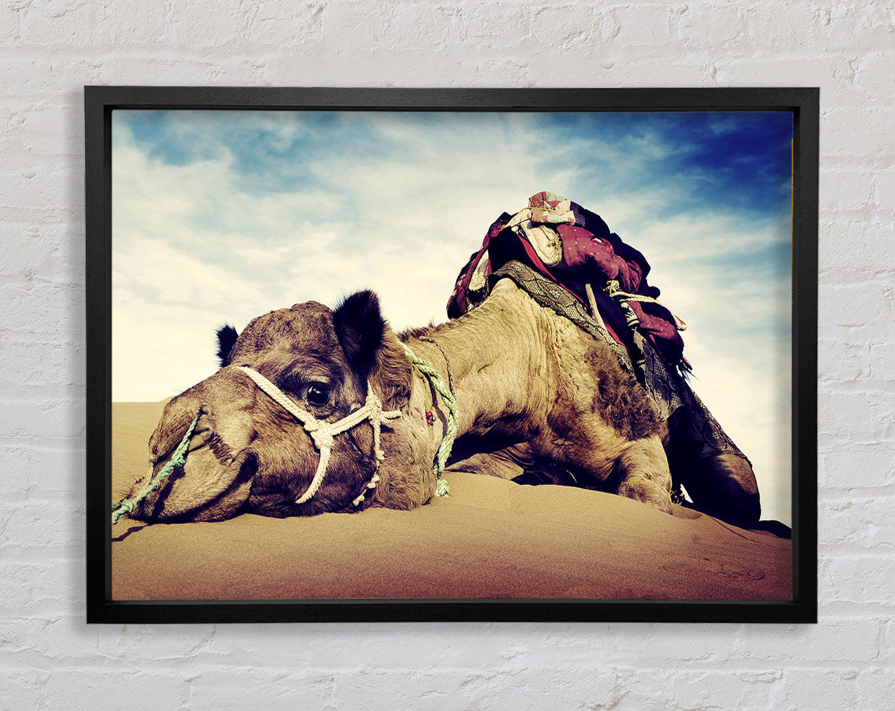Camel Rest Framed Wall Art