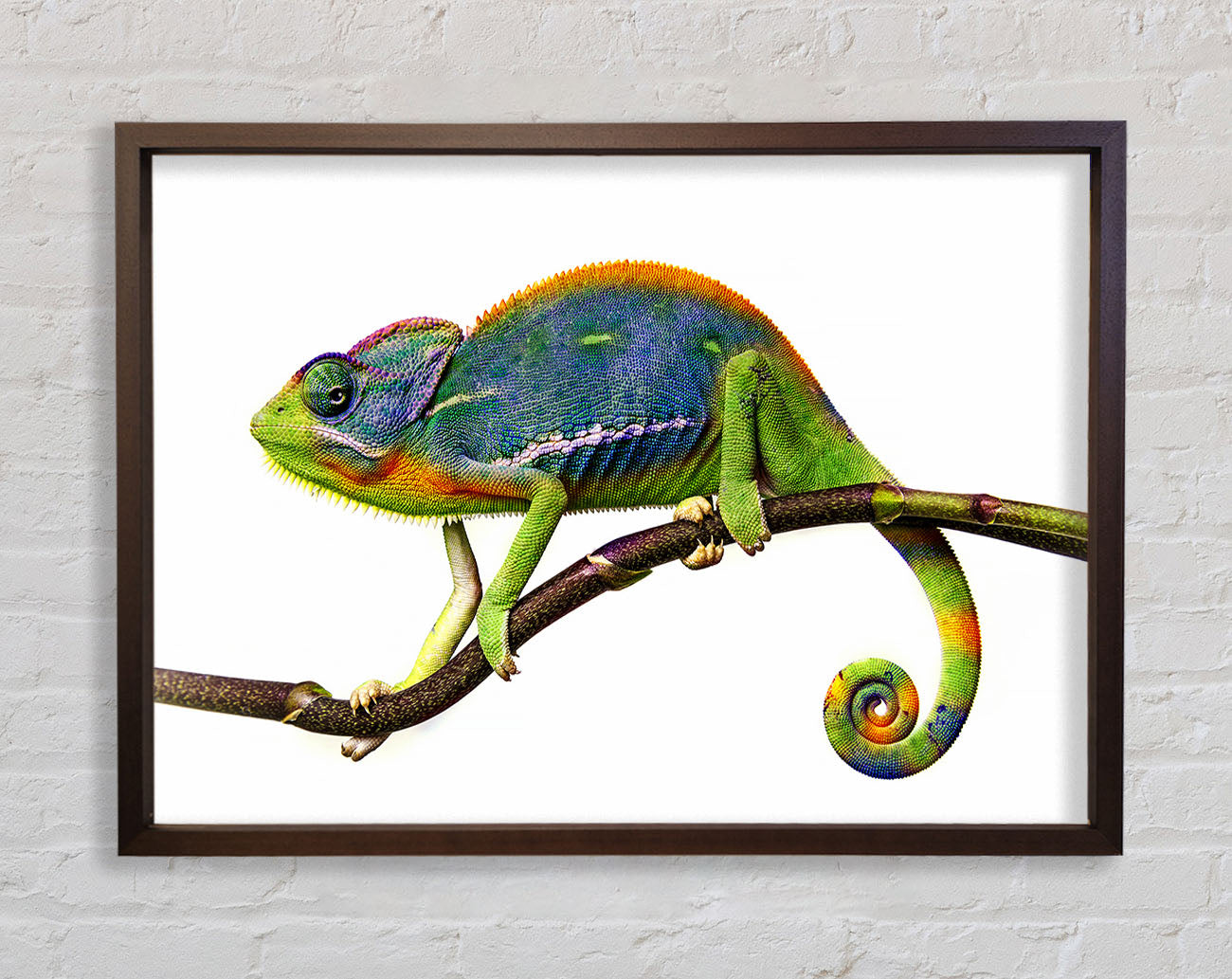 Chameleon Branch Framed Wall Art