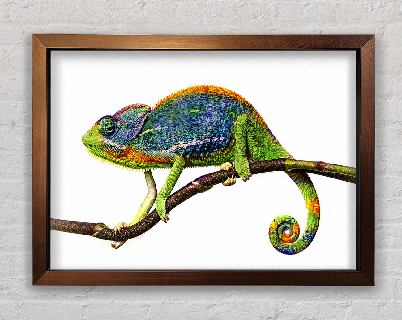 Chameleon Branch Framed Wall Art