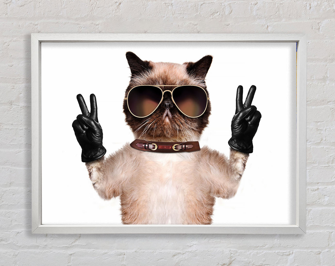 Cat Peace Framed Wall Art