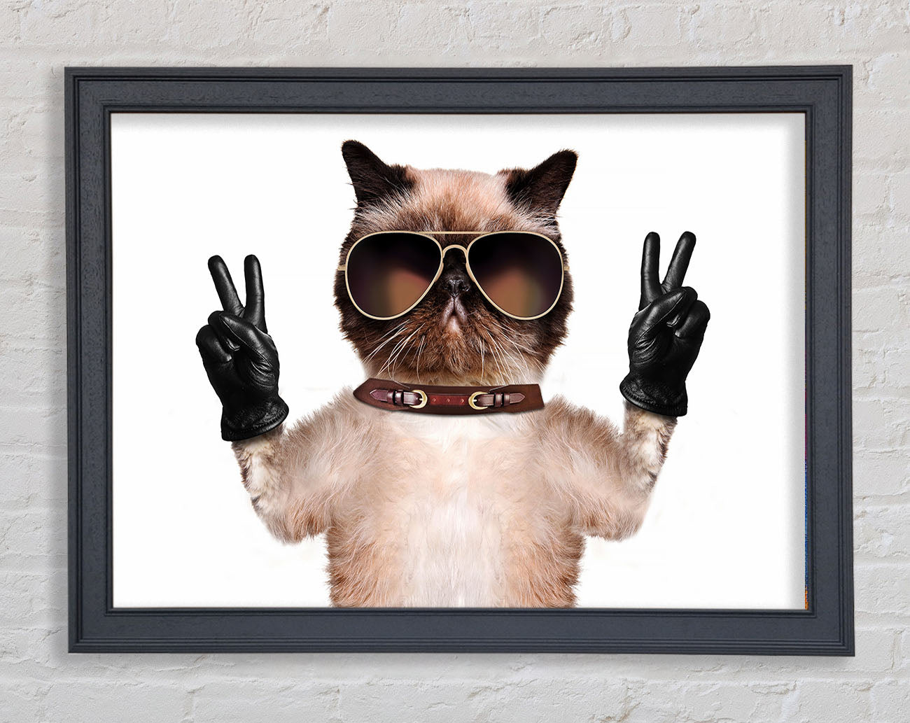 Cat Peace Framed Wall Art
