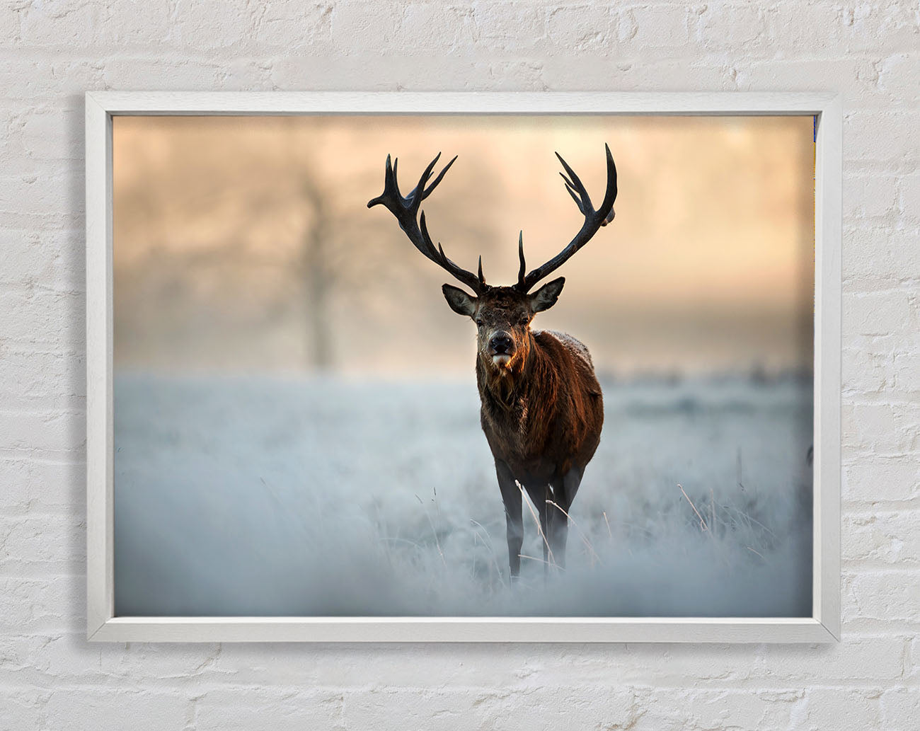 Beautiful Winter Stag Framed Wall Art