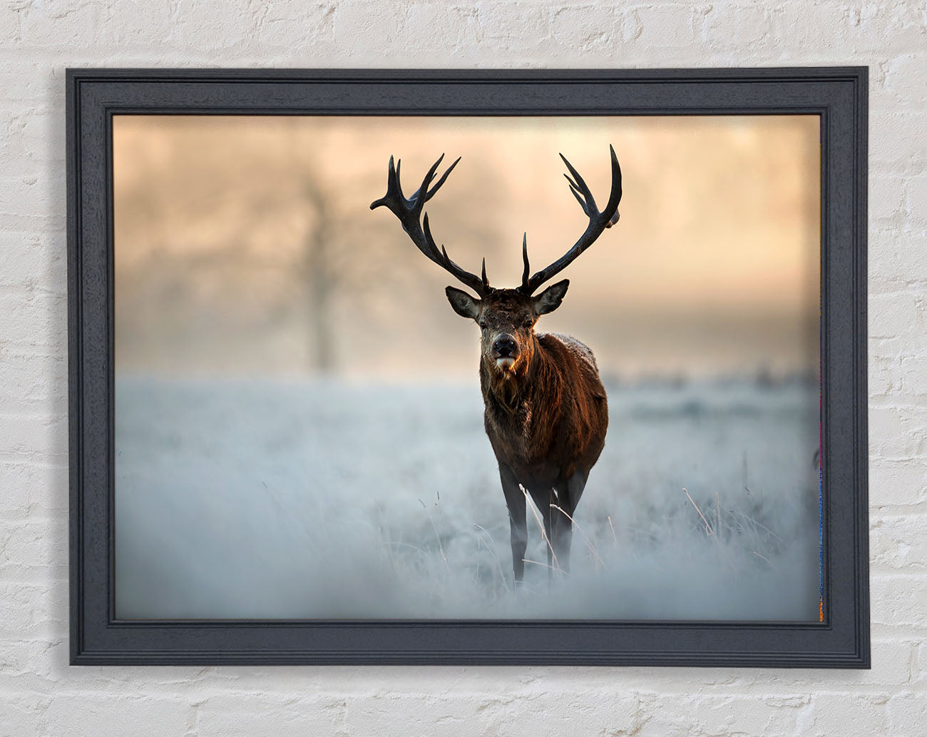 Beautiful Winter Stag Framed Wall Art
