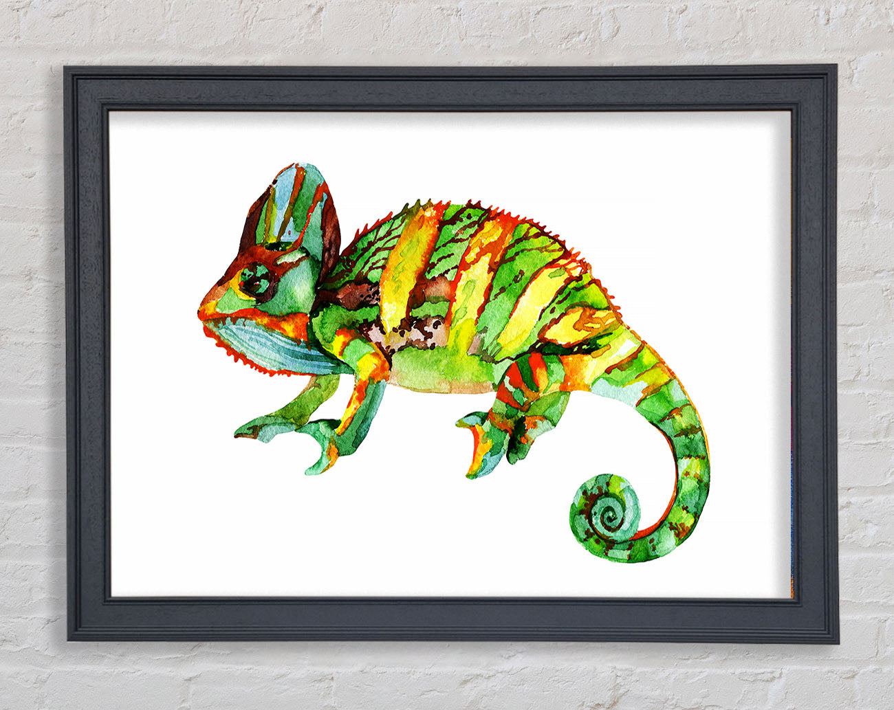 Chameleon Colours Framed Wall Art