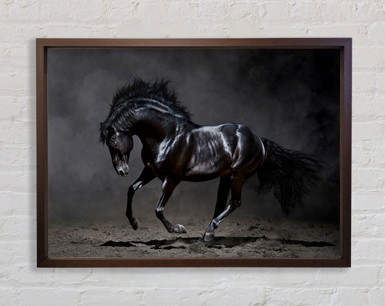Black Beauty Horse Framed Wall Art