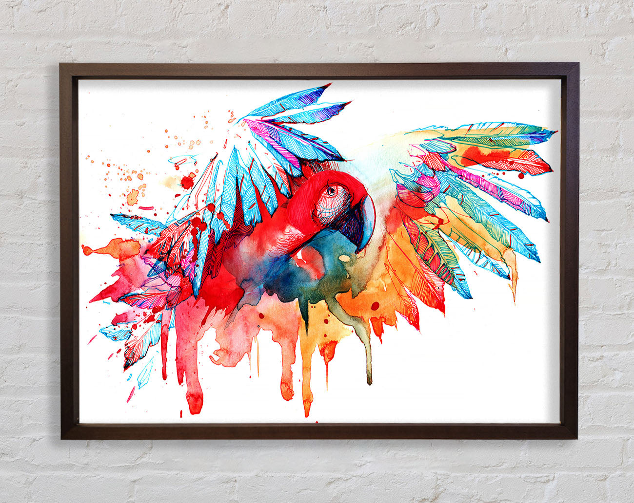 Colourful Parrot Framed Wall Art