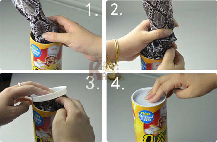 April Fool's Day Gift Students Spoof Potato Chip Snake