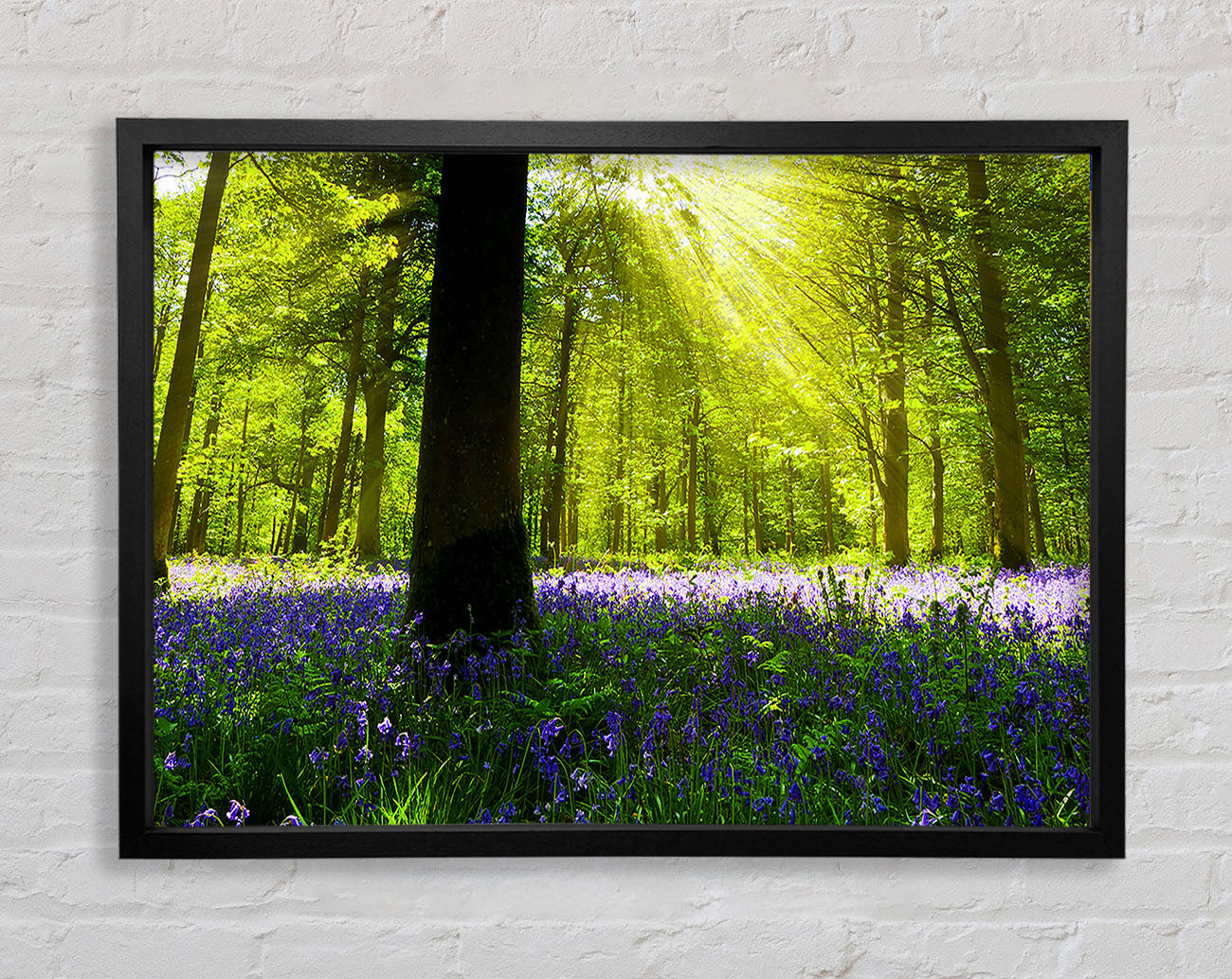 Bluebell Sun Blaze Framed Wall Art