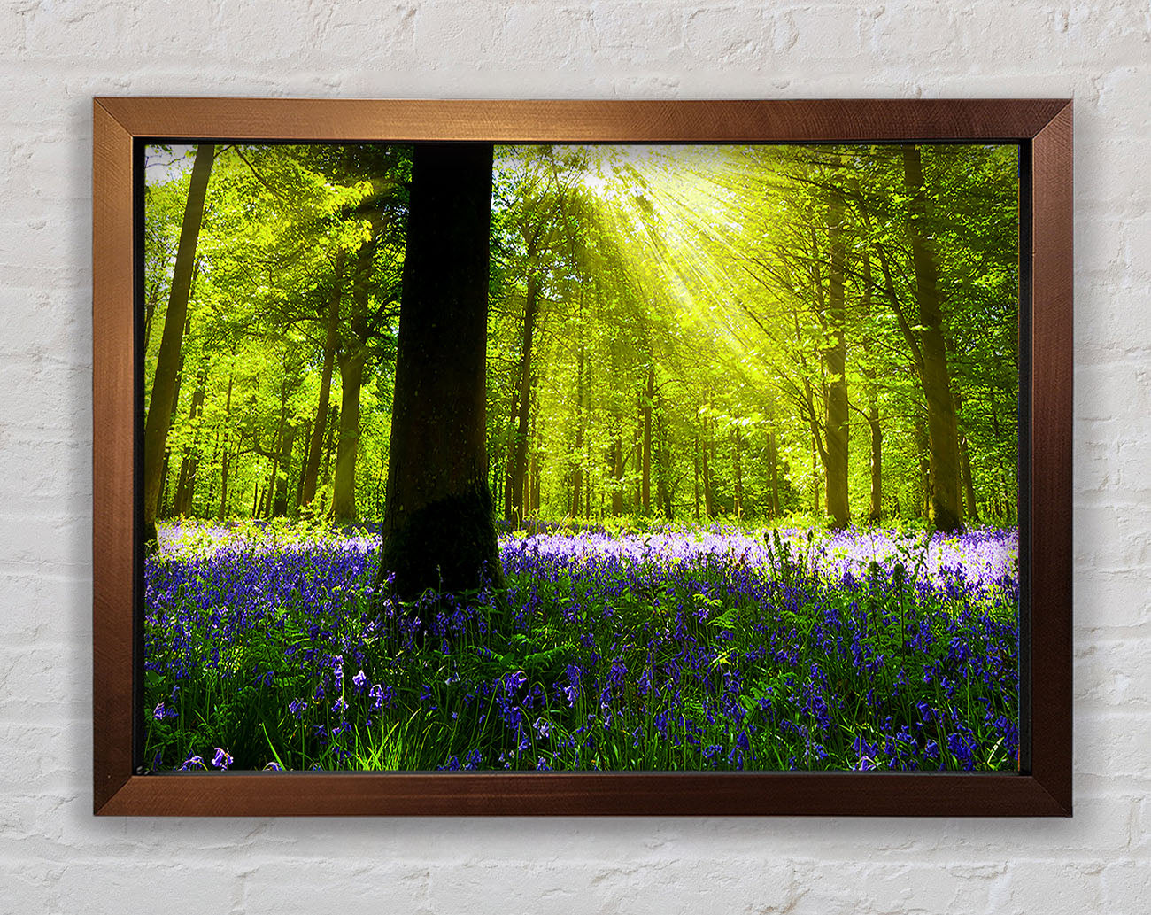 Bluebell Sun Blaze Framed Wall Art