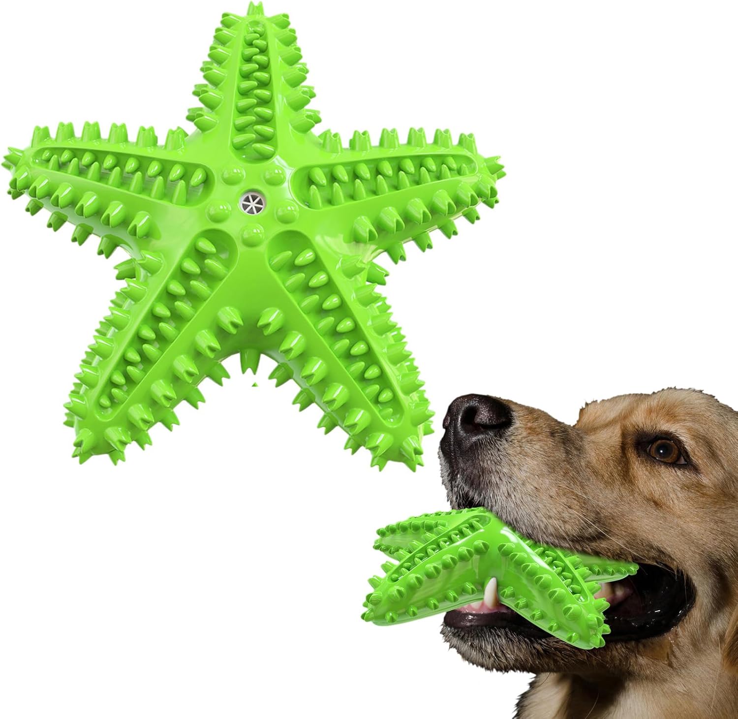 Sounding Starfish The Natural Toothbrush For Small And Medium Dogs Starfish Natural Tooth Brush Teeth Cleaning