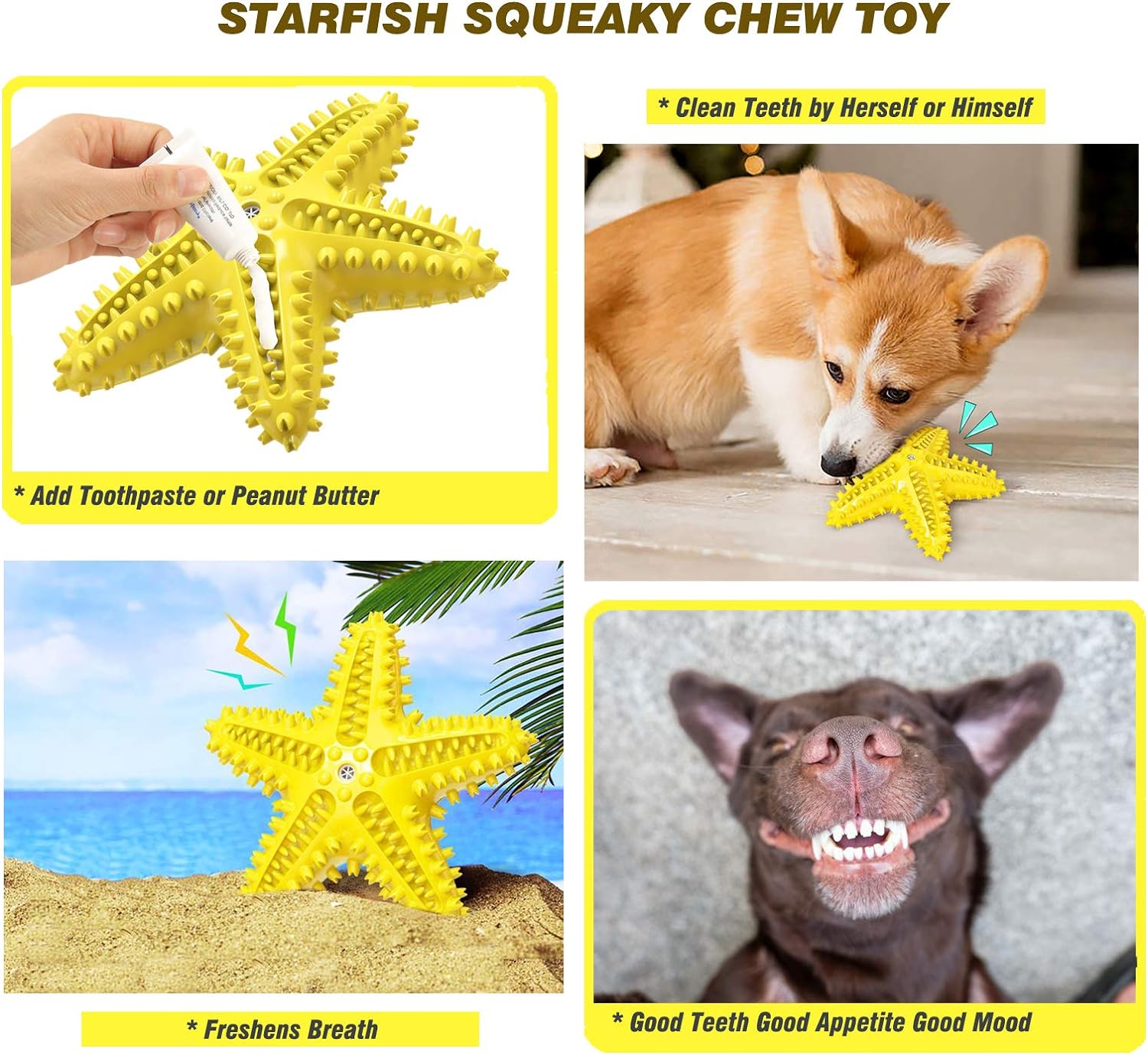 Sounding Starfish The Natural Toothbrush For Small And Medium Dogs Starfish Natural Tooth Brush Teeth Cleaning