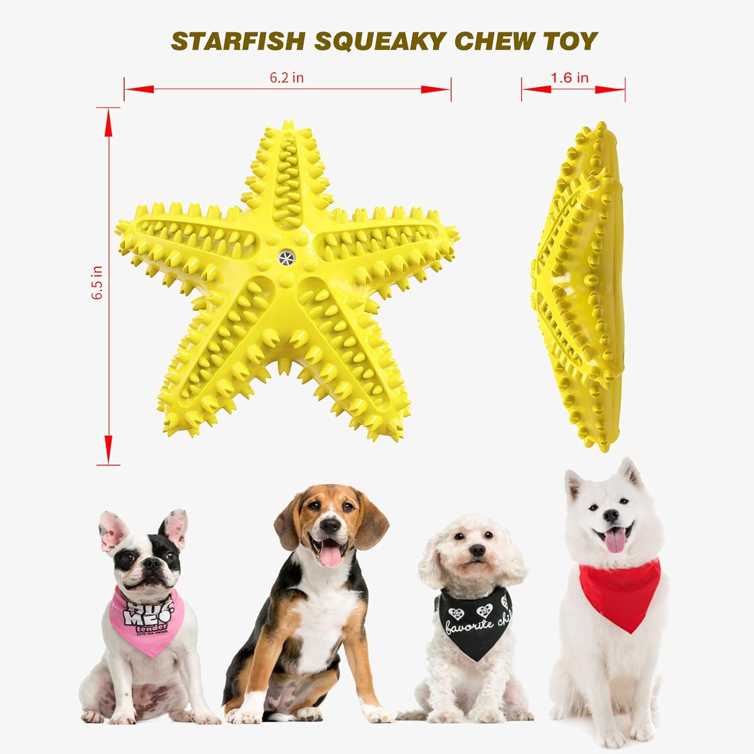 Sounding Starfish The Natural Toothbrush For Small And Medium Dogs Starfish Natural Tooth Brush Teeth Cleaning