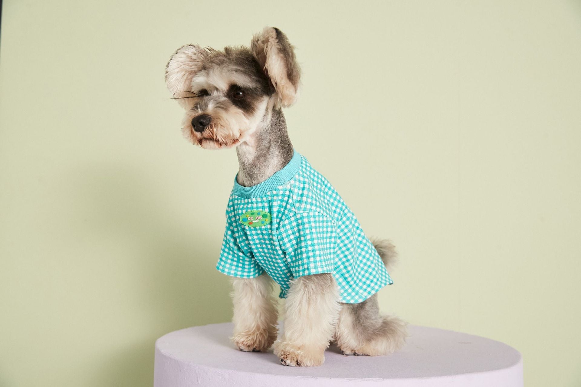 Summer Thin Candy Color Plaid T-Shirt Teddy