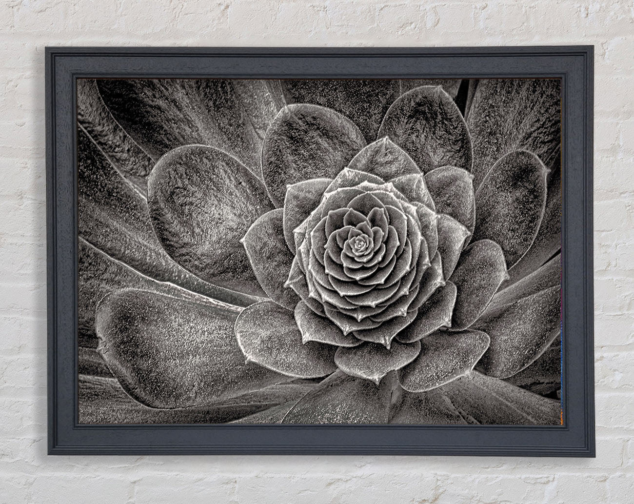 Cabbage Leaves Framed Wall Art
