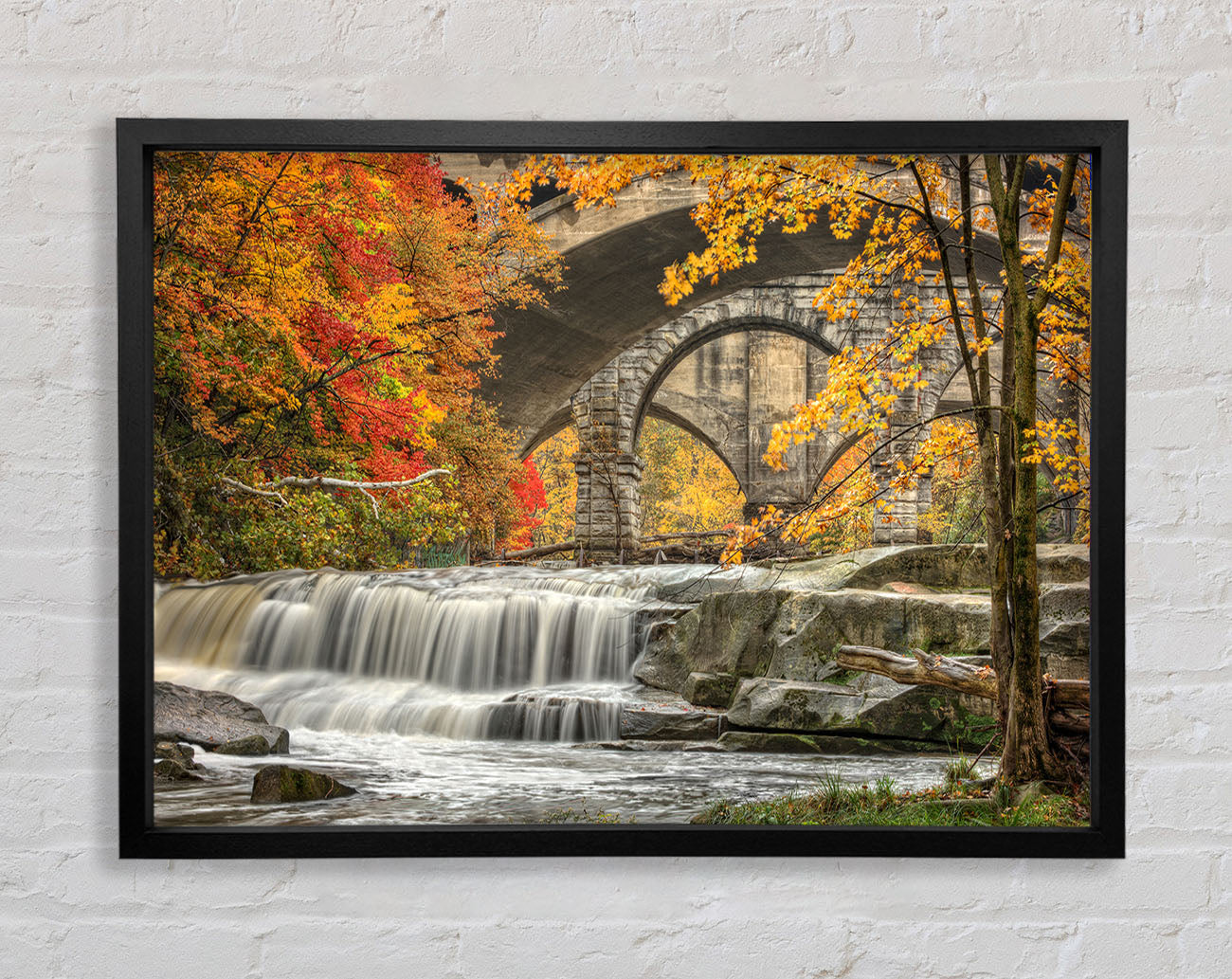 Bridge In The Forest Framed Wall Art
