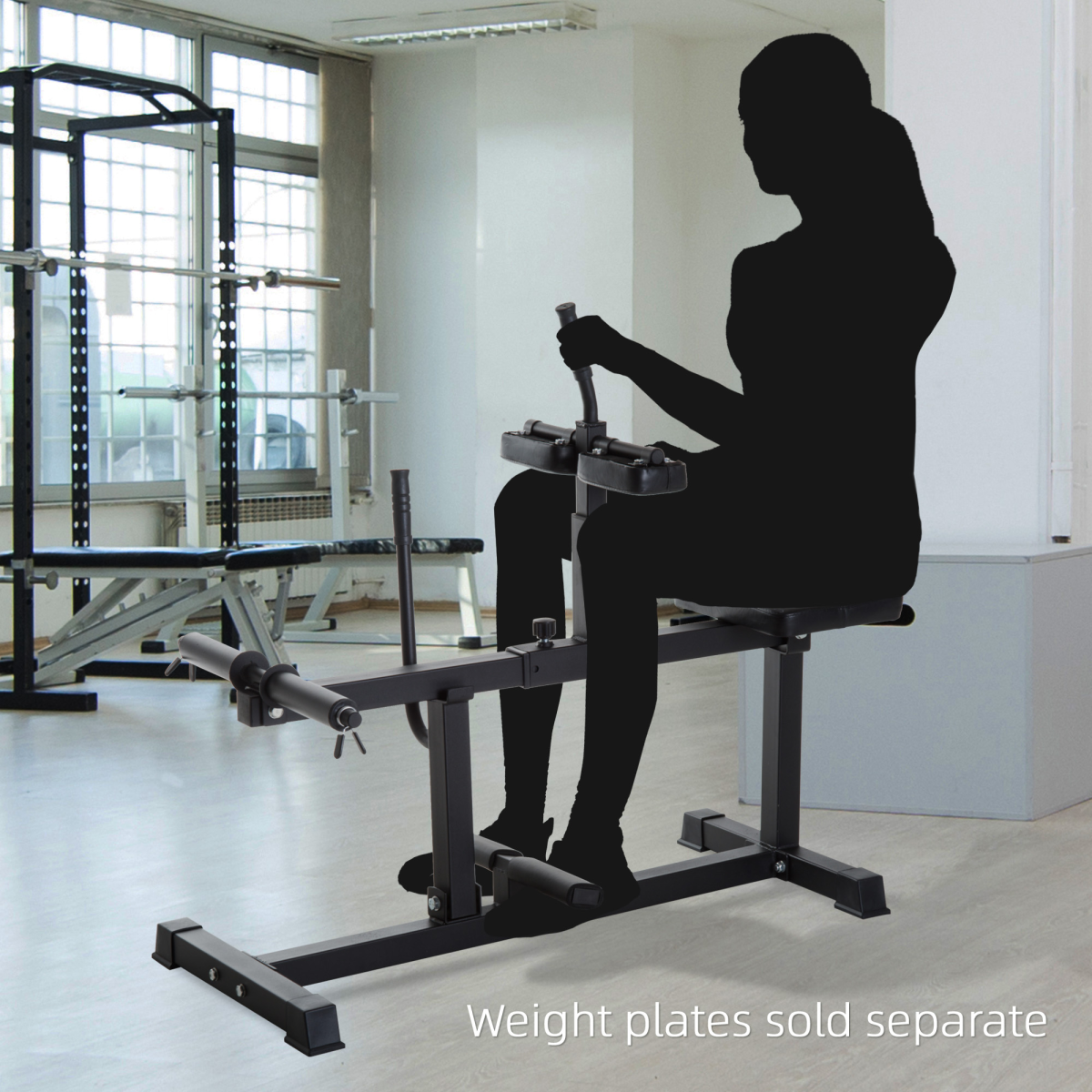 SPORTNOW Seated Adjustable Leg Extension Machine with Plate Loaded