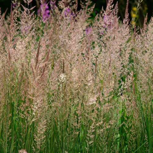 7.5L/ 6L Stainless Steel Chafing Dish Food Warmer Heat Tank Food Insulation W/ Lid for Hotel Catering Buffet Party