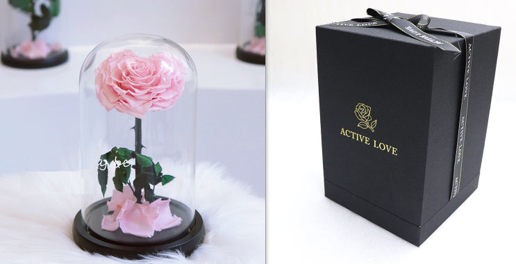 Glass Cover Tanabata Valentine's Day Immortal Rose Gift