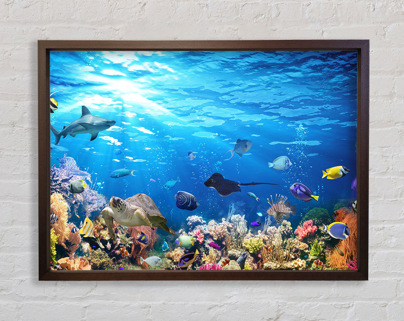 Creatures in the reef Framed Wall Art