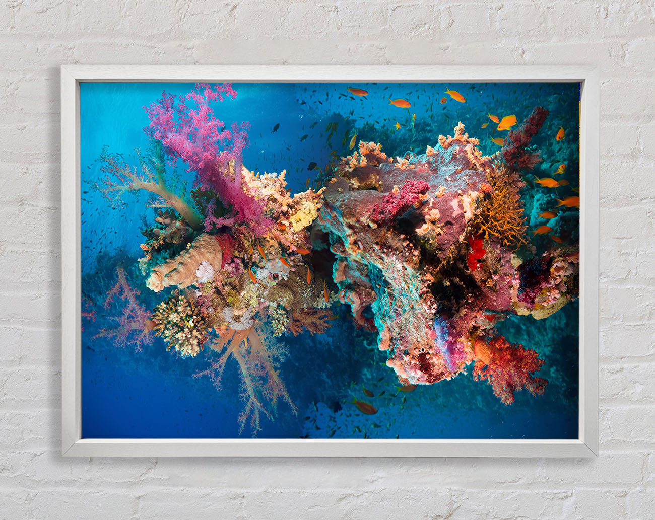Coral reef habitat Framed Wall Art