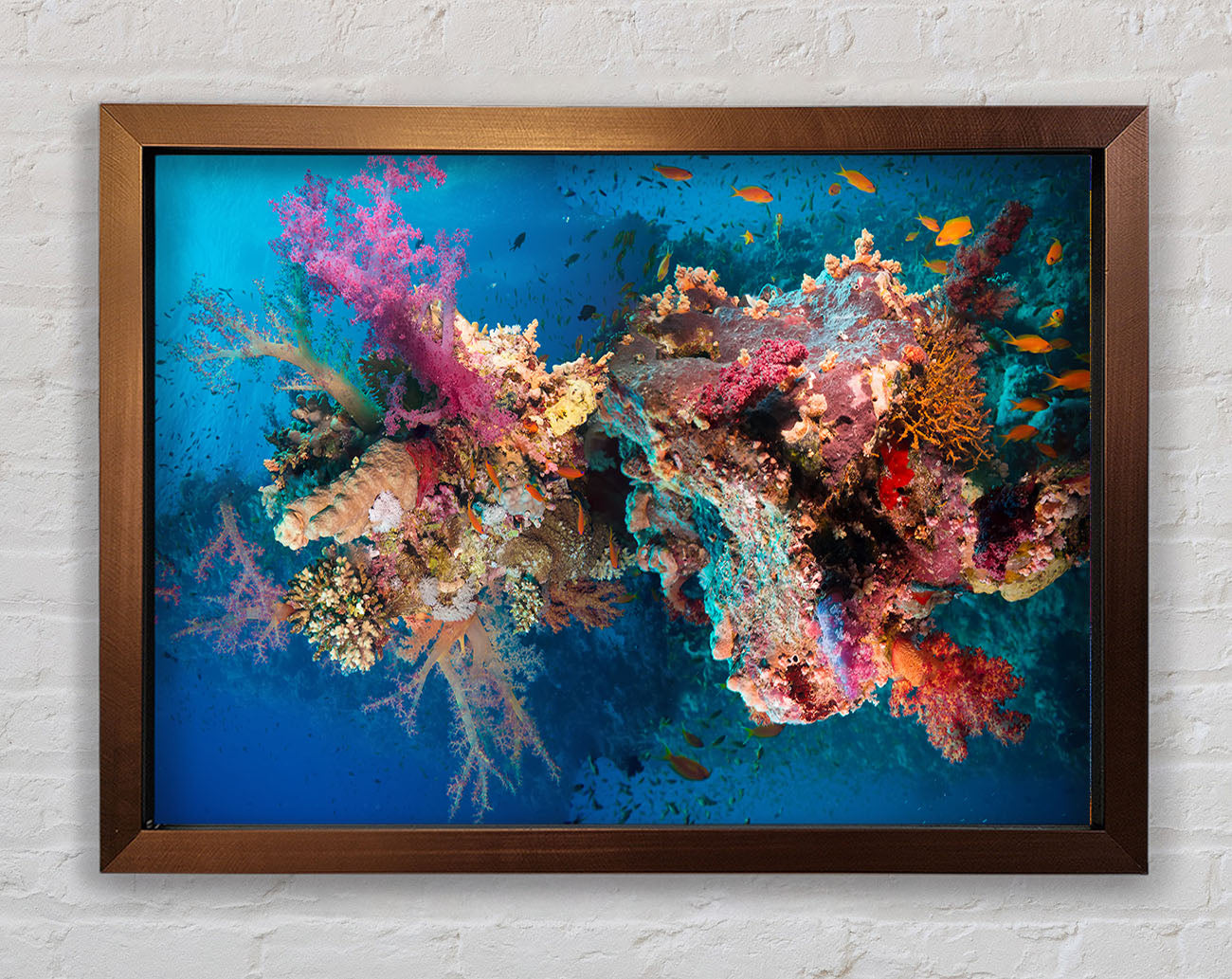 Coral reef habitat Framed Wall Art