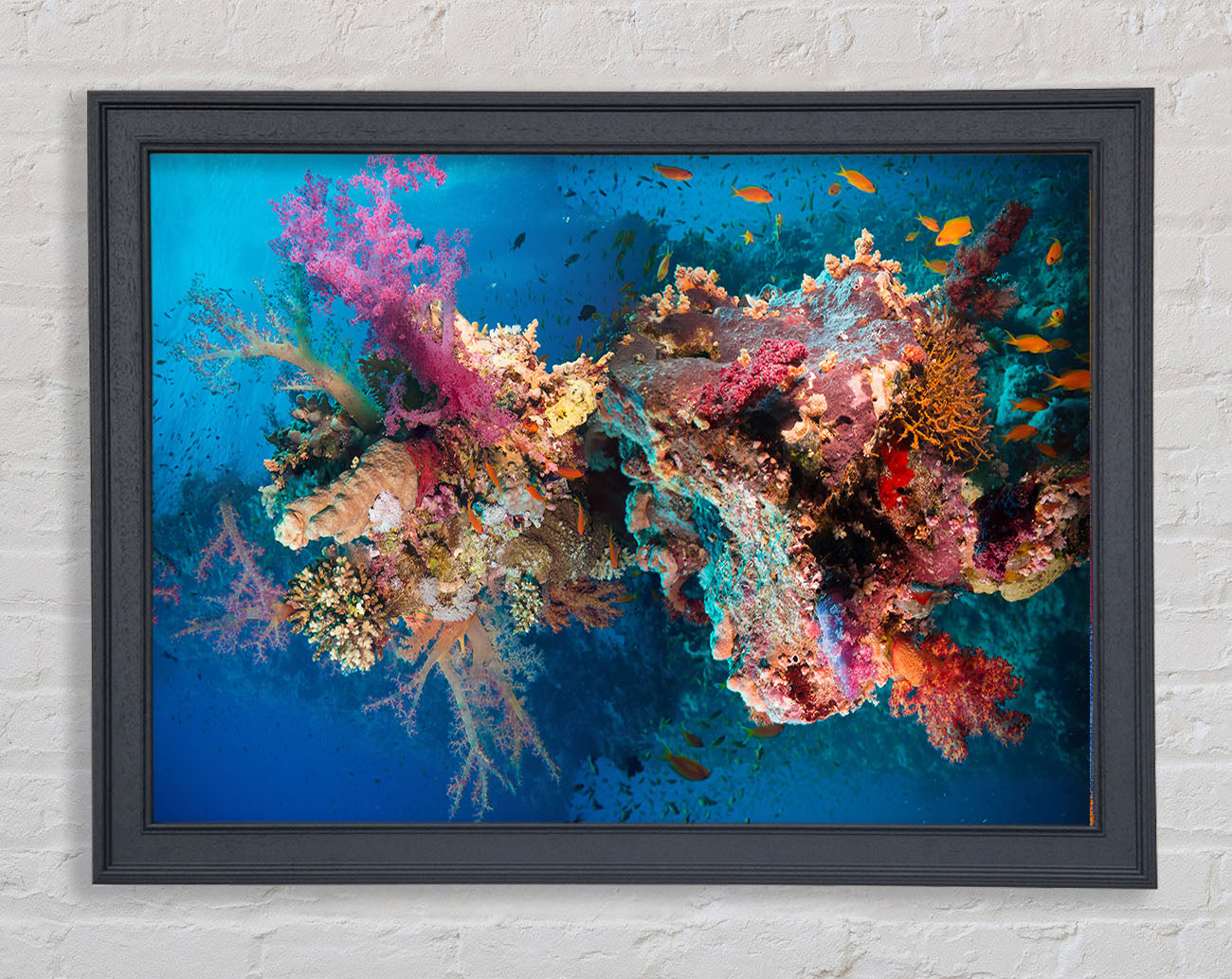 Coral reef habitat Framed Wall Art