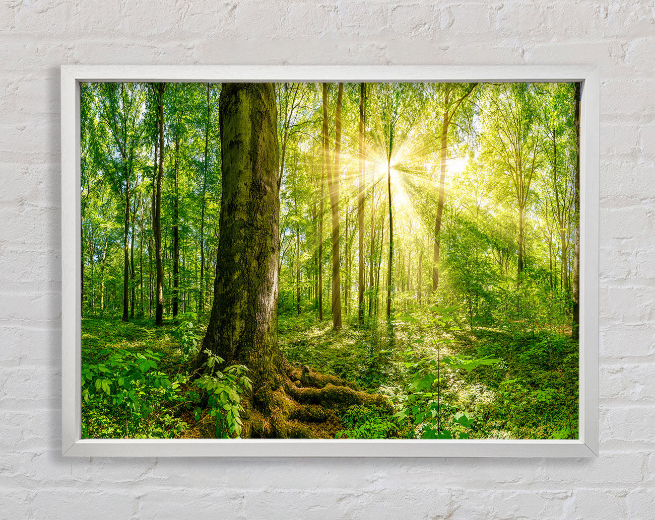Bright light flare in the forest Framed Wall Art