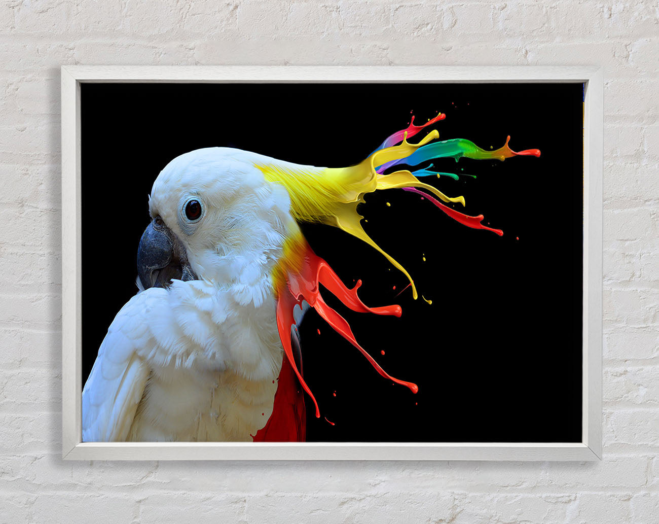 cockatoo colour splash Framed Wall Art
