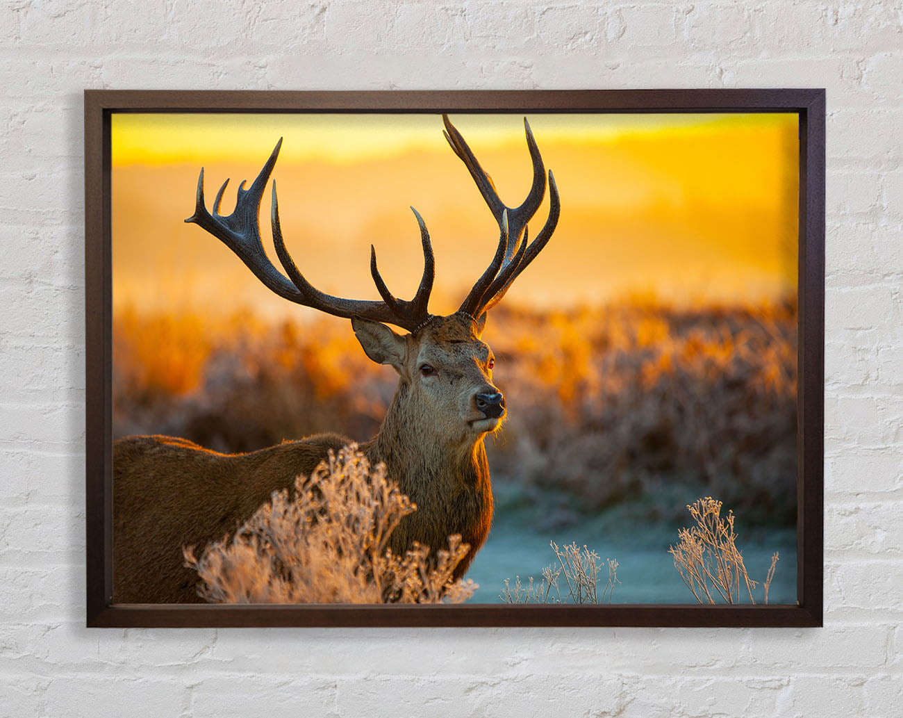 Crisp winters stag Framed Wall Art