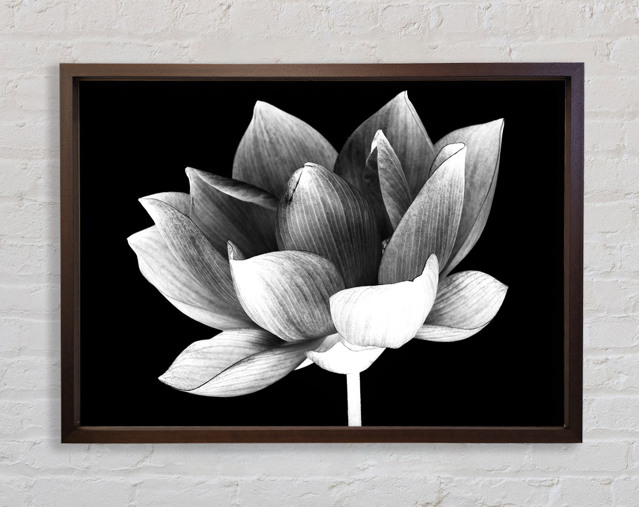 Black and white flower beauty Framed Wall Art