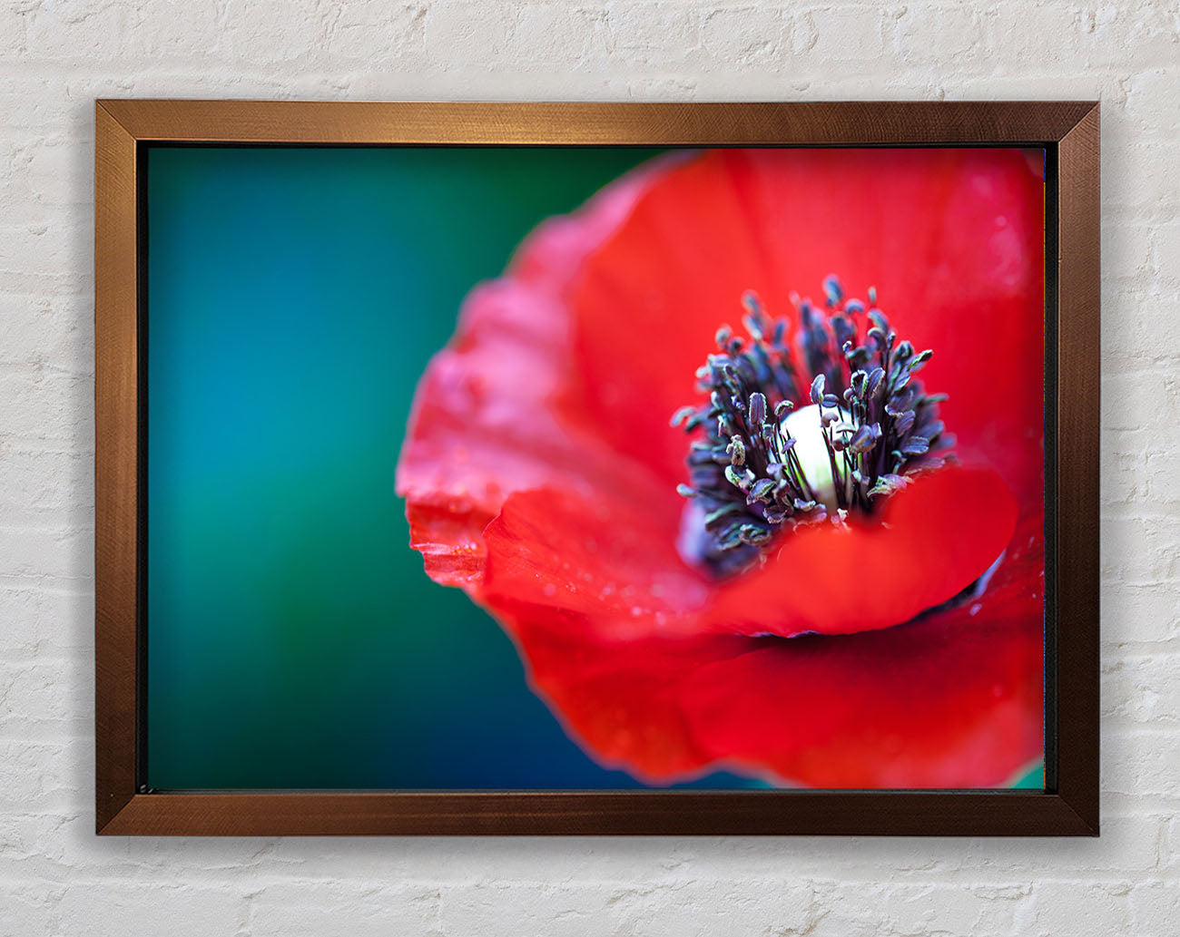 close look inside a poppy Framed Wall Art