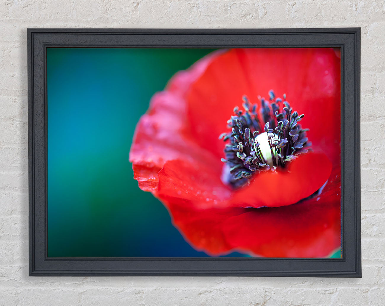 close look inside a poppy Framed Wall Art