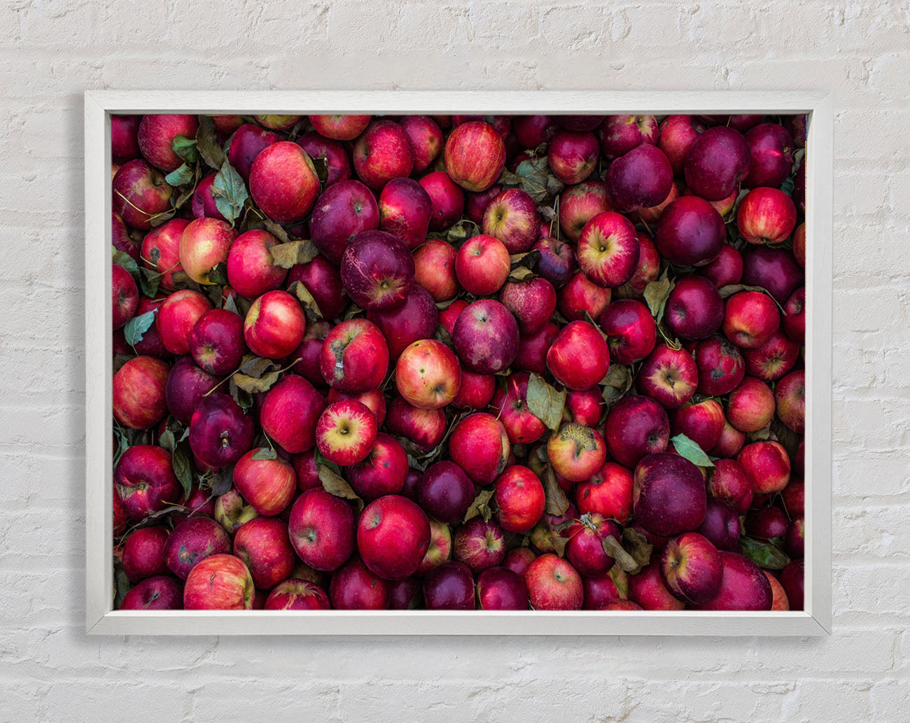 Collection of apples Framed Wall Art