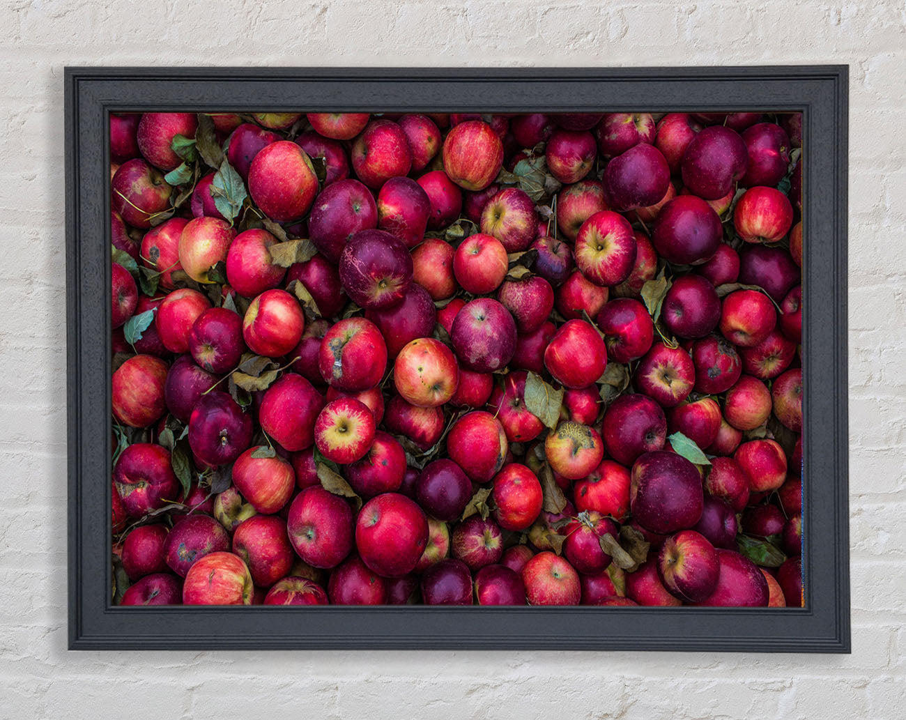 Collection of apples Framed Wall Art