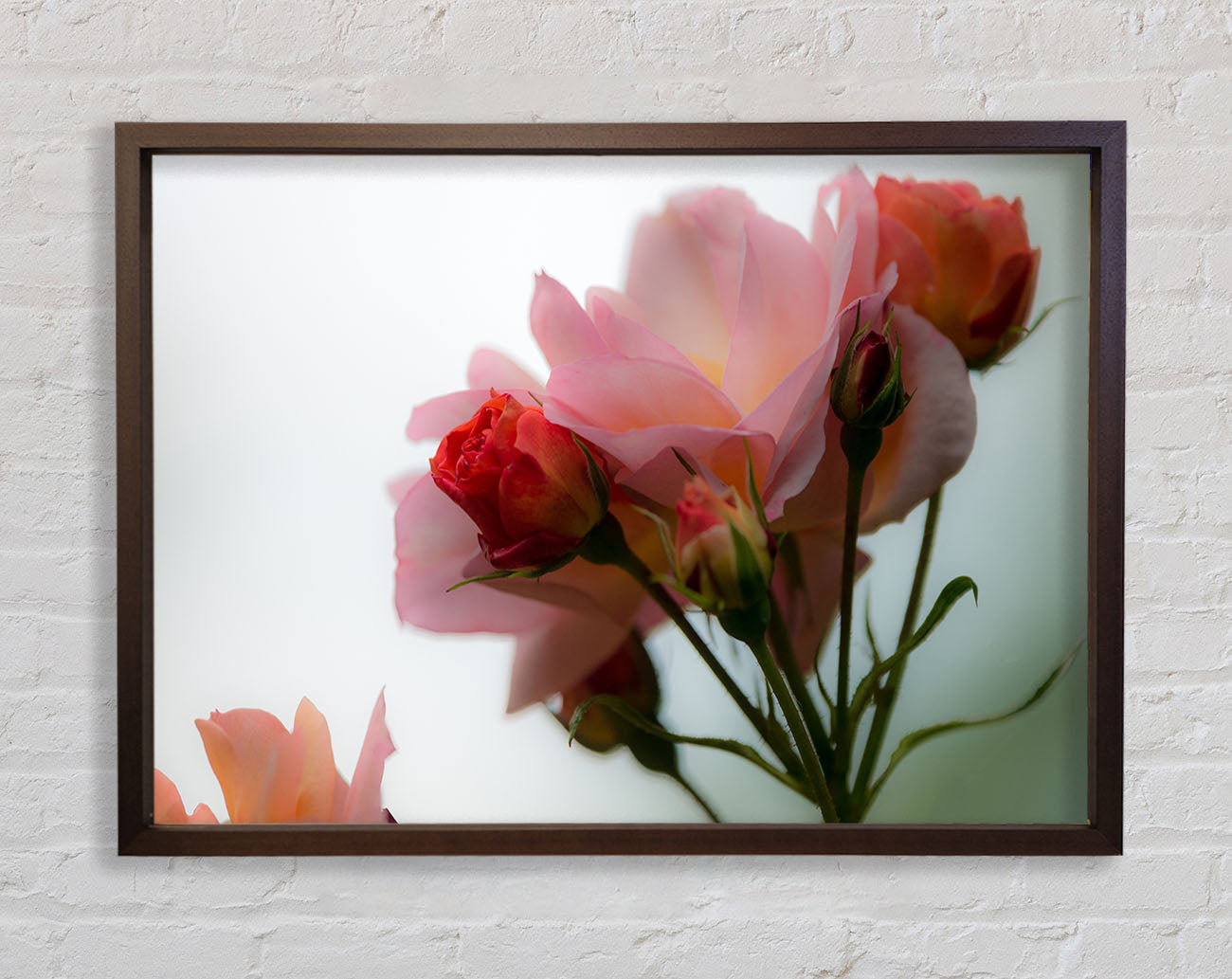 An array of pink flowers Framed Wall Art