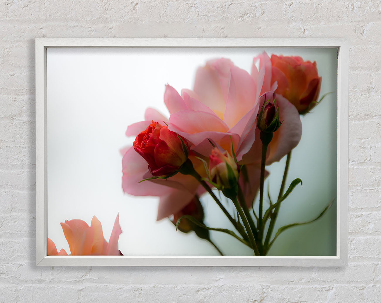An array of pink flowers Framed Wall Art