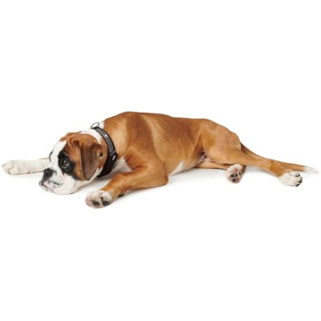 Hunter Softie Deluxe Collar, 50, Black