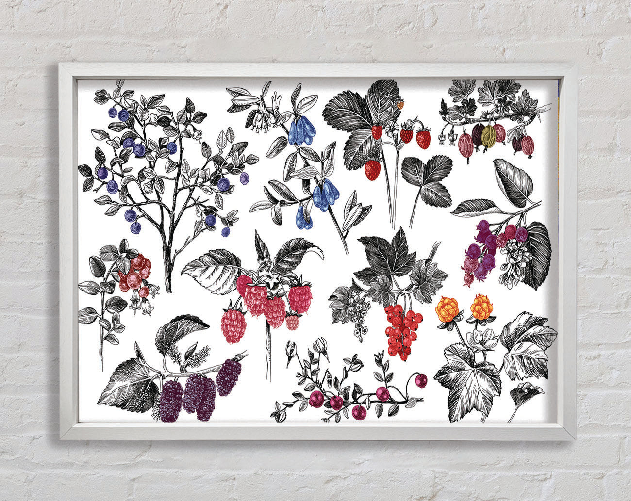Collage Of Flowers And Berries Framed Wall Art