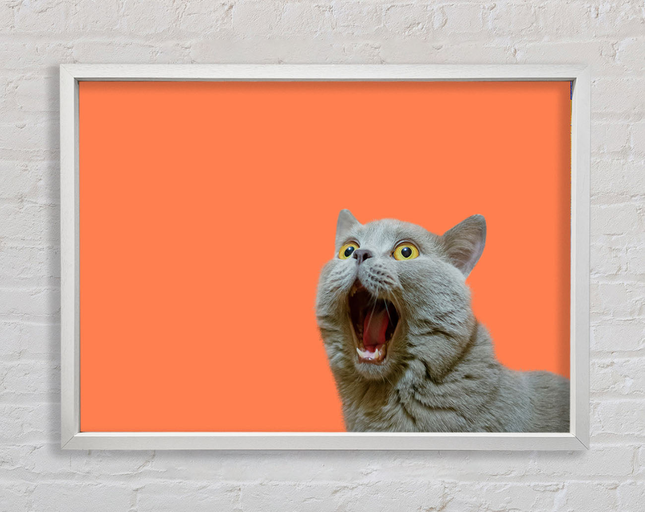 Cat On The Orange Framed Wall Art