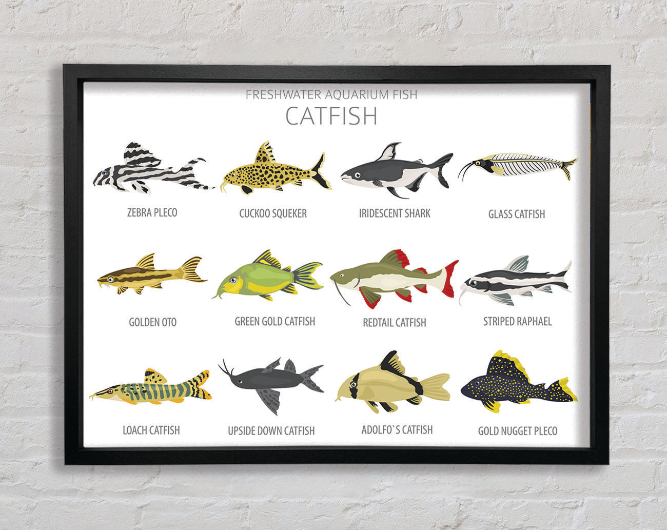 Catfish Chart Framed Wall Art