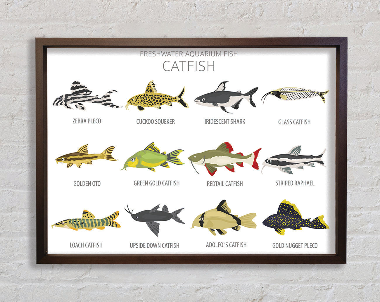 Catfish Chart Framed Wall Art