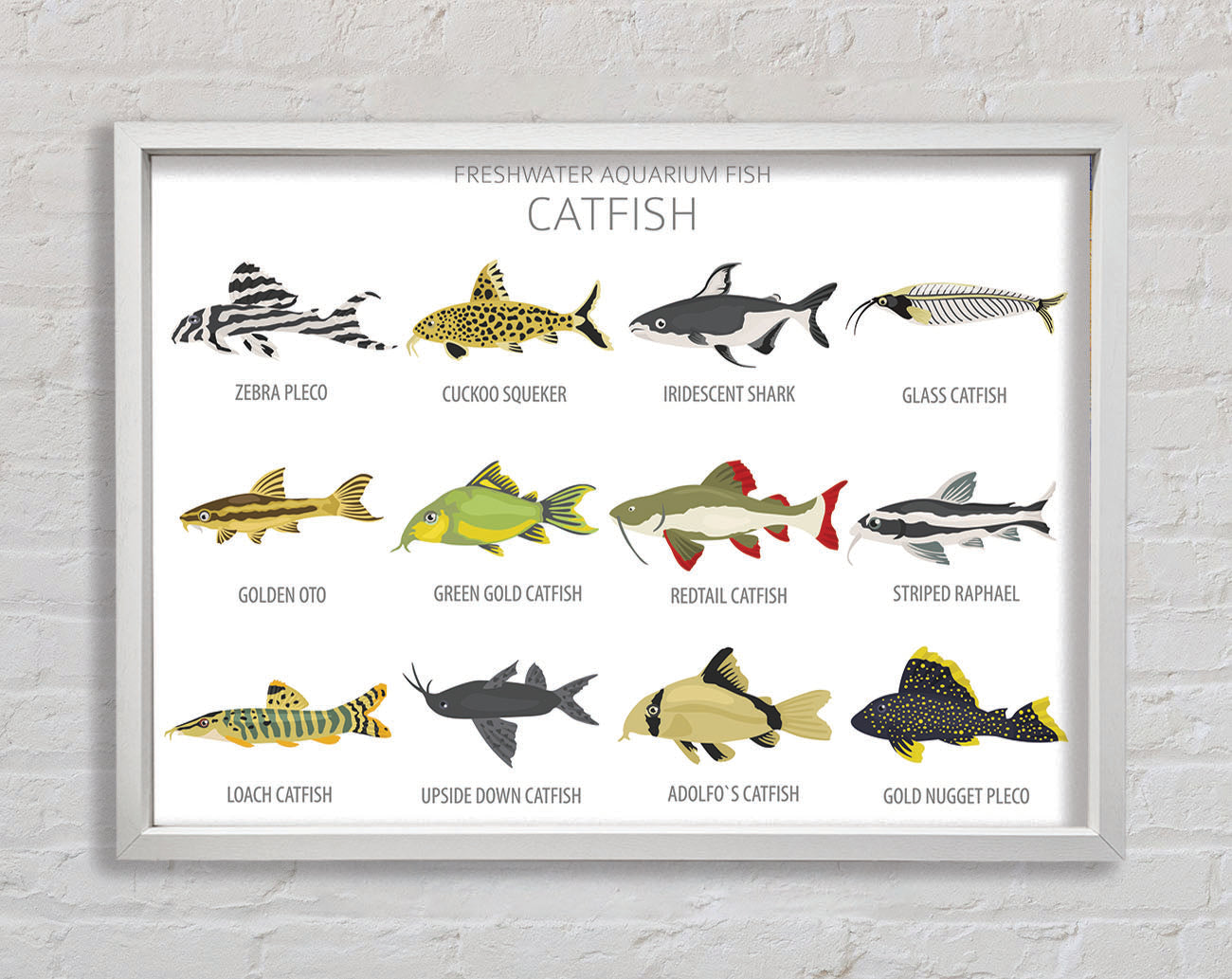 Catfish Chart Framed Wall Art