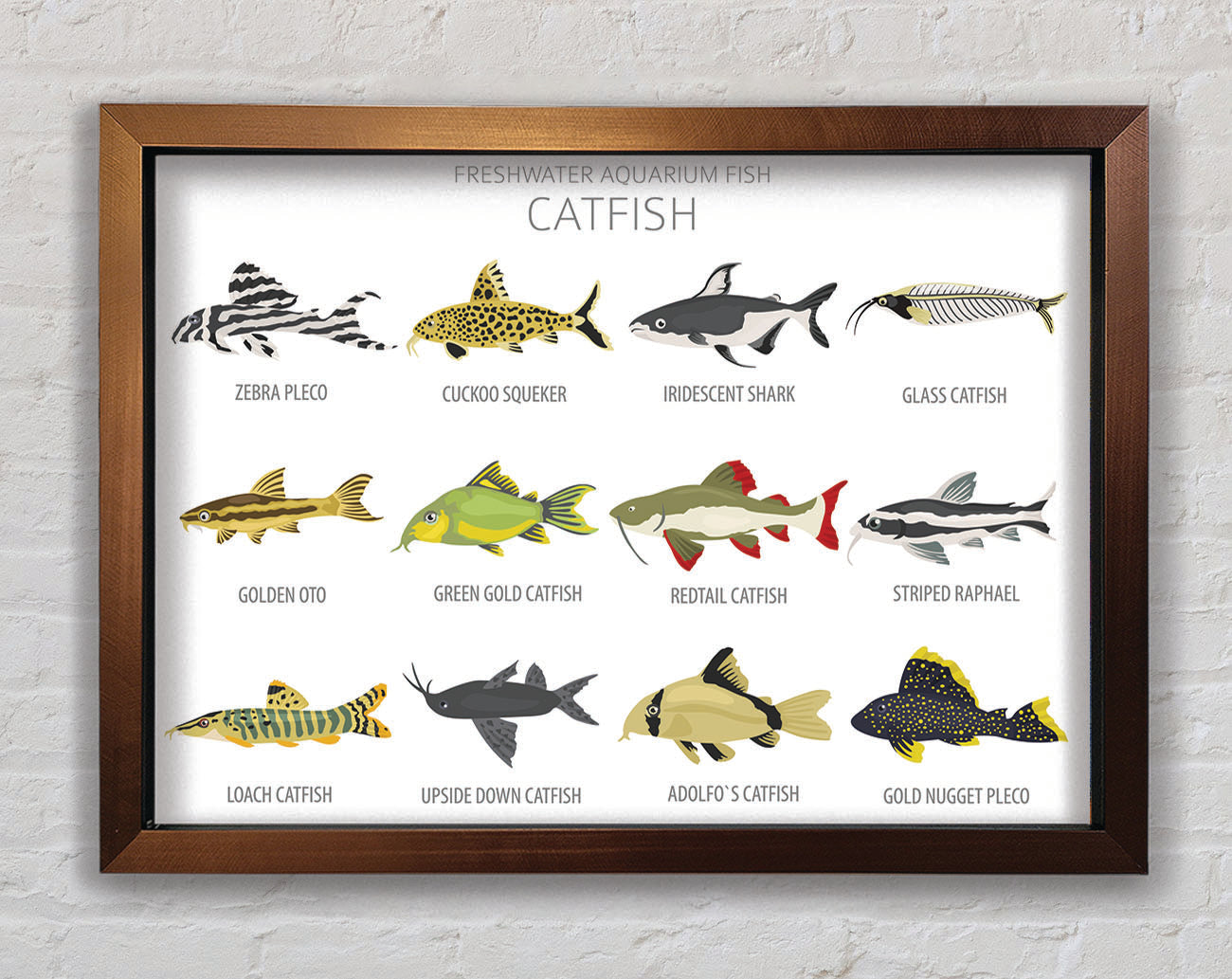 Catfish Chart Framed Wall Art