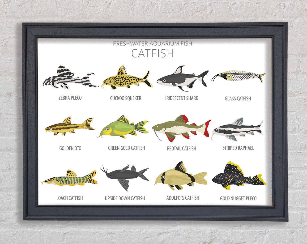 Catfish Chart Framed Wall Art