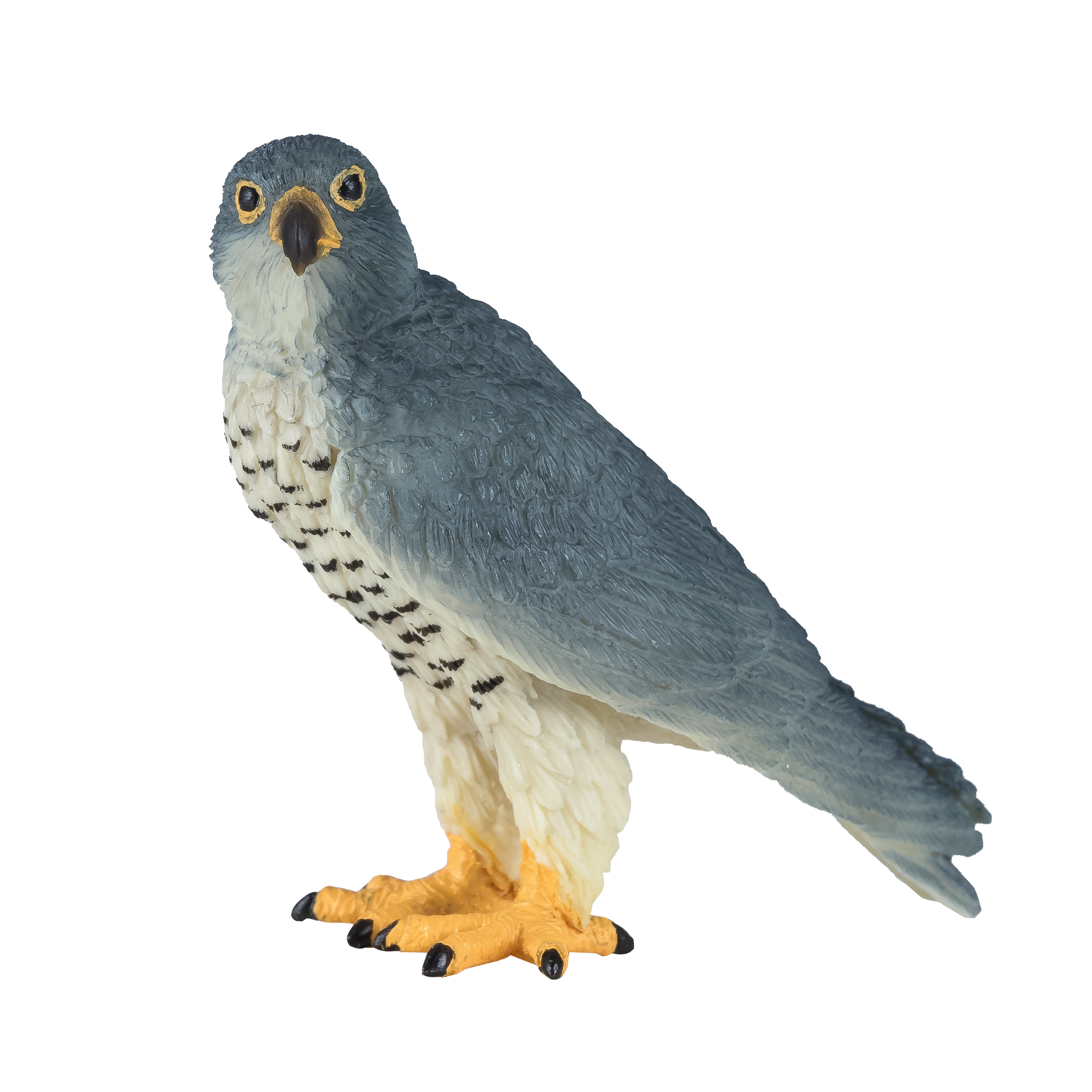 Peregrine Falcon Toy Realistic Bird of Prey Model