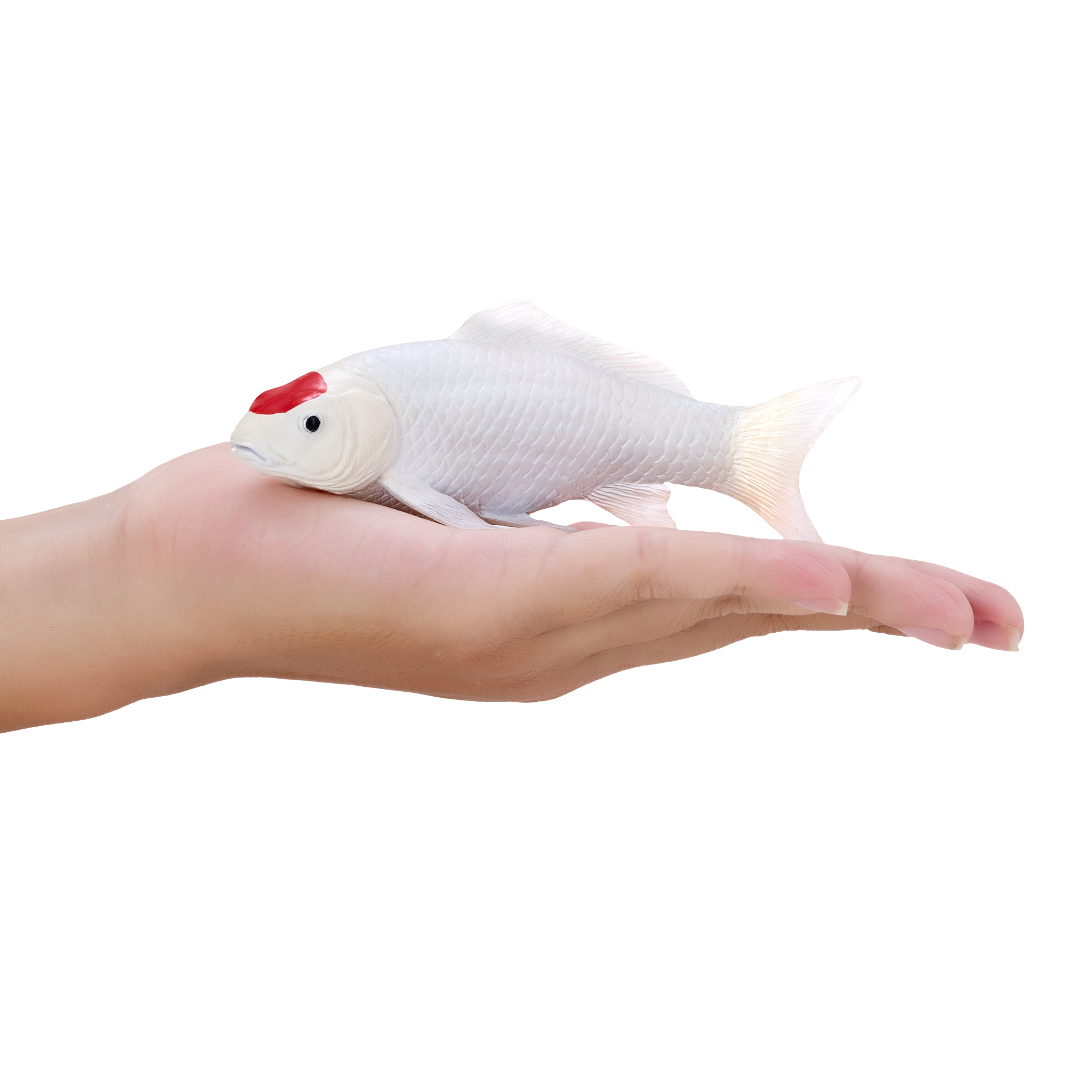 Koi Carp Tancho Toy Realistic Fish Figurine
