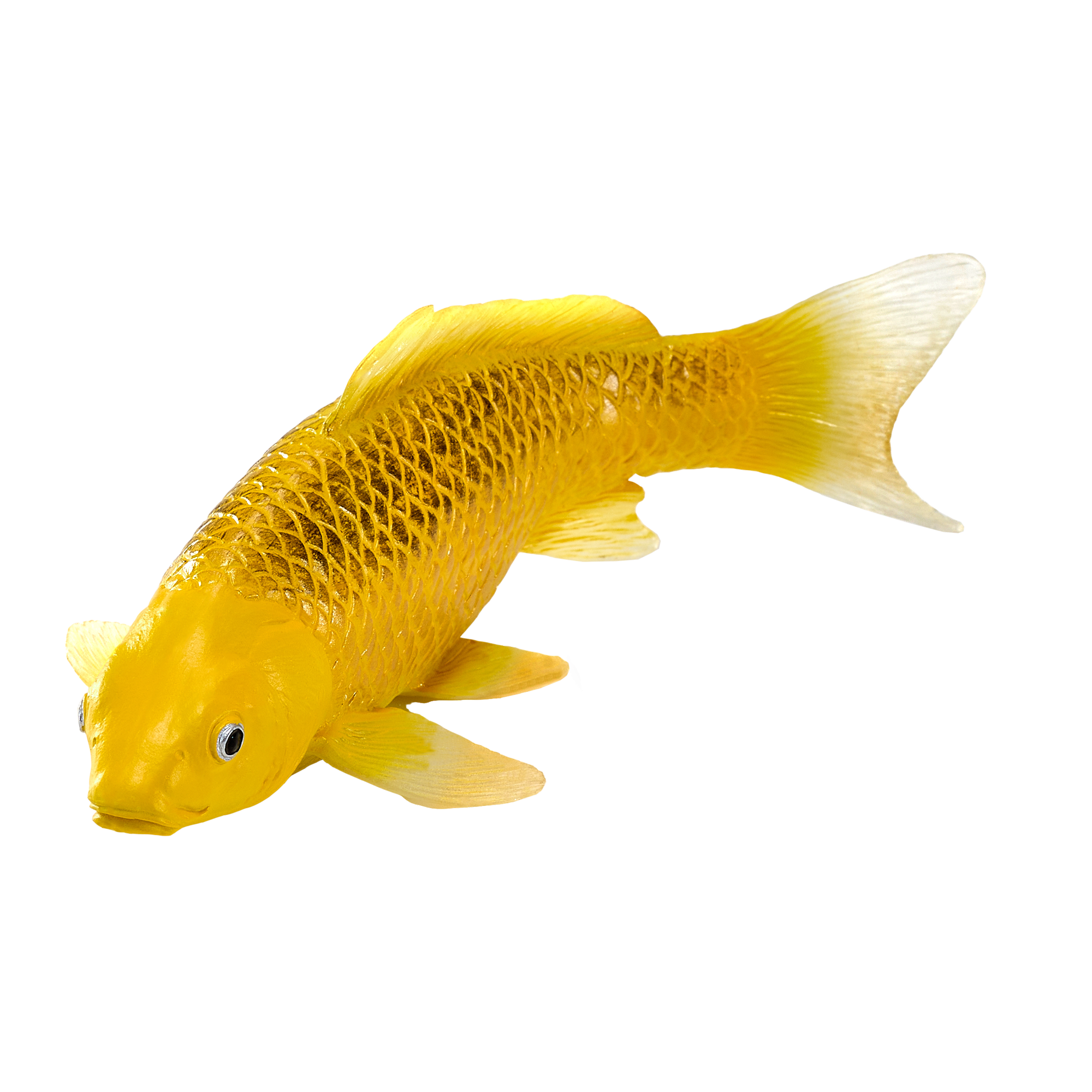 Koi Carp Kin Matsuba Realistic Fish Figurine