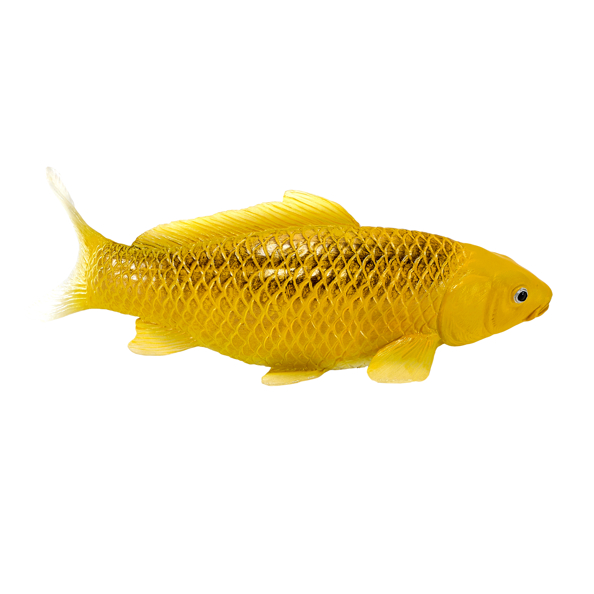 Koi Carp Kin Matsuba Realistic Fish Figurine