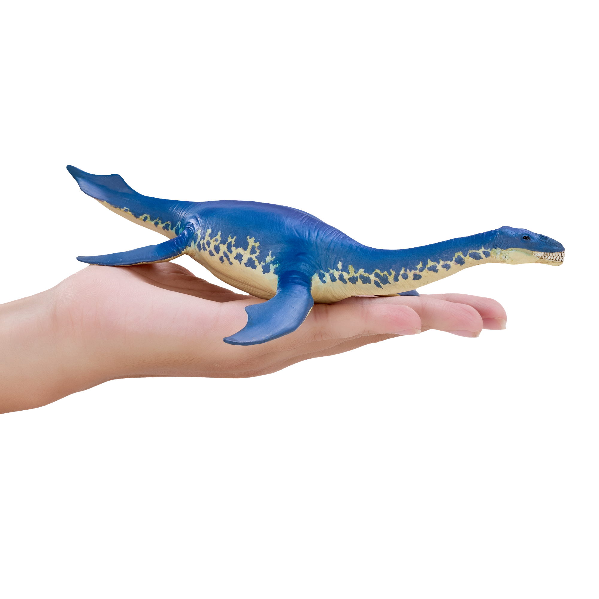 Cryptoclidus Dinosaur Toy Prehistoric Marine Reptile