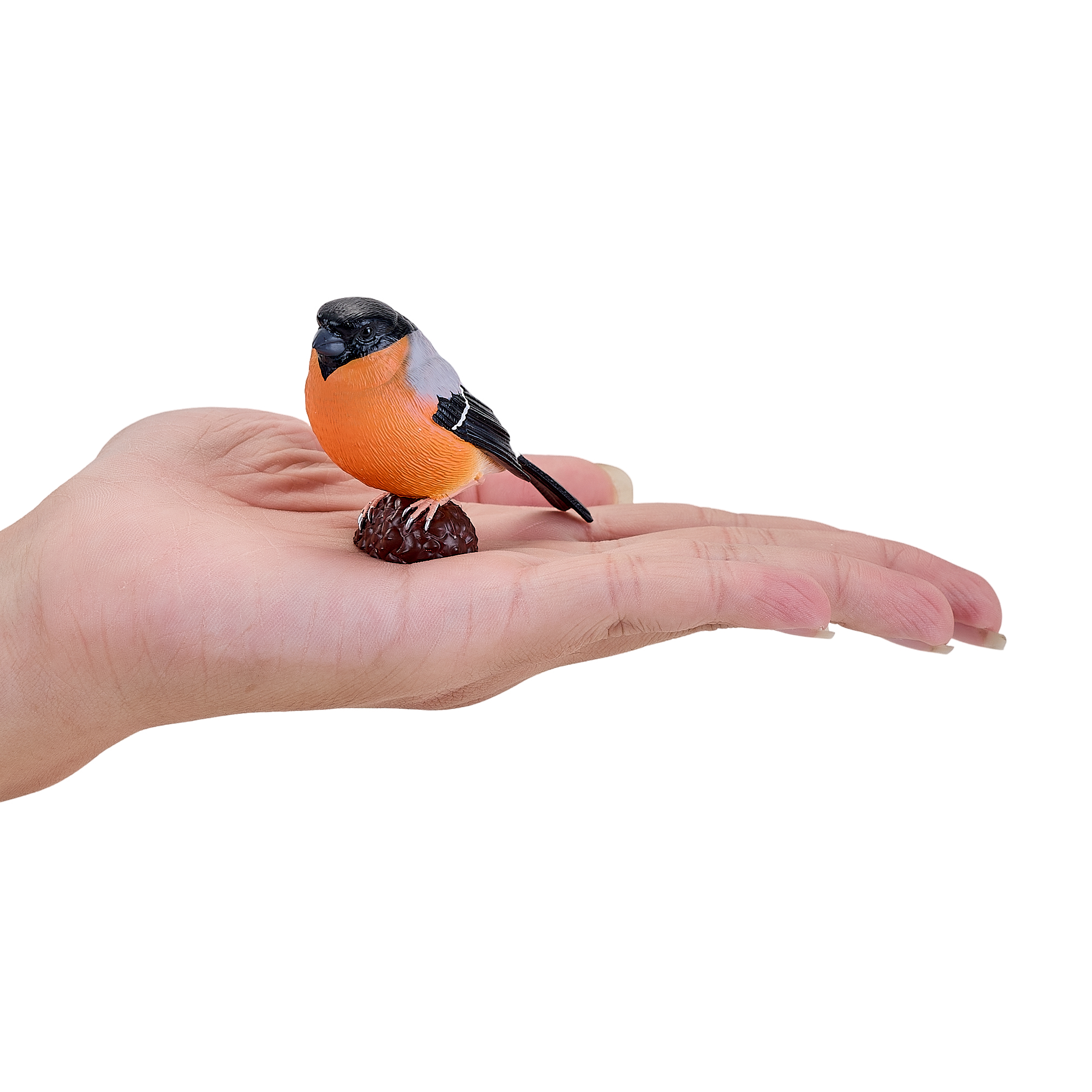 Bullfinch Bird Toy Realistic Wildlife Figurine